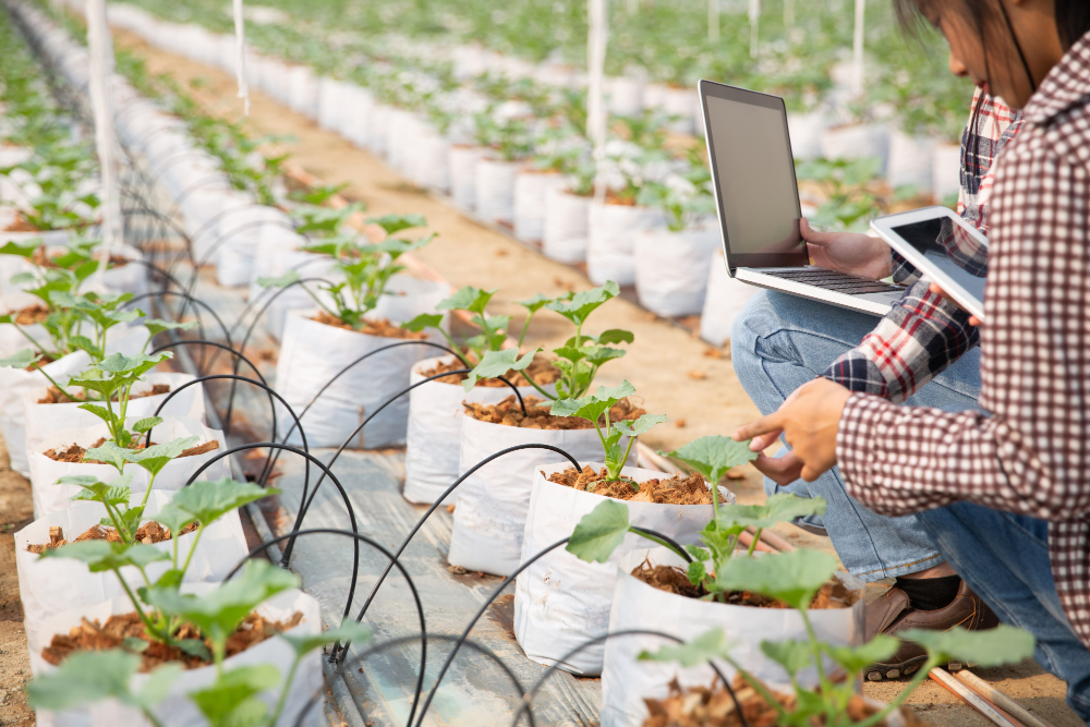Agricultural technology monitoring crops