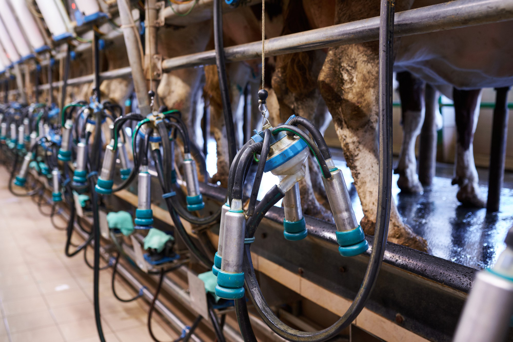 Precision milking technology
